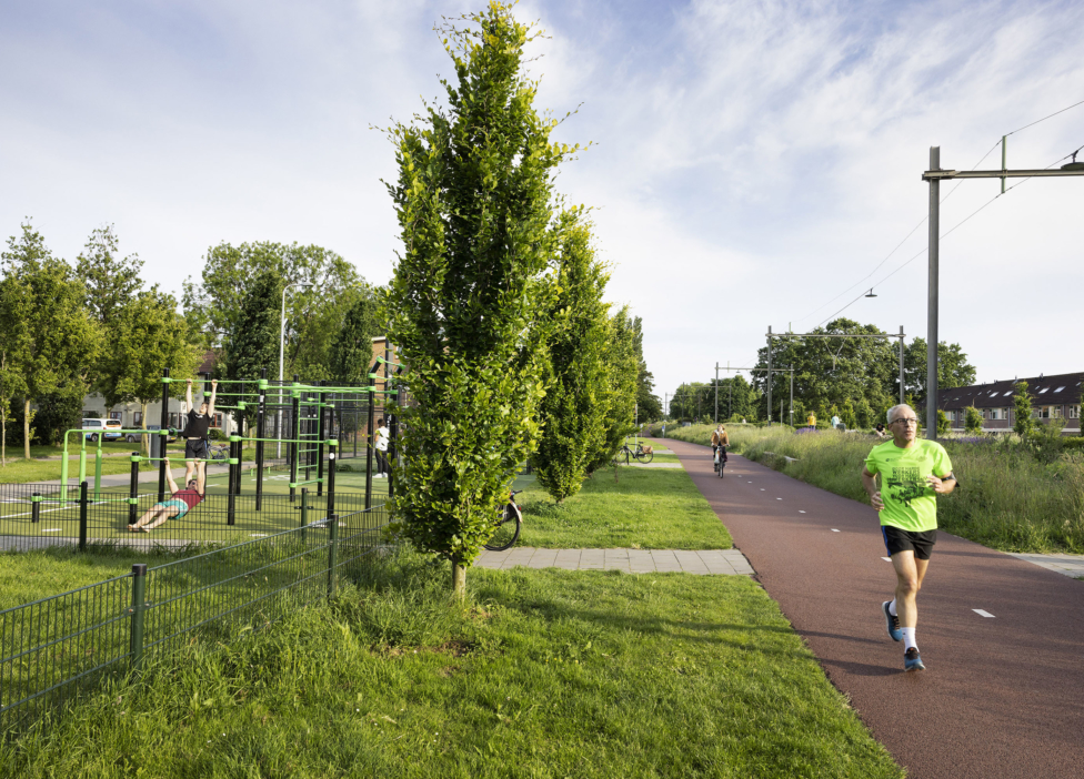 Creator of meaningful places