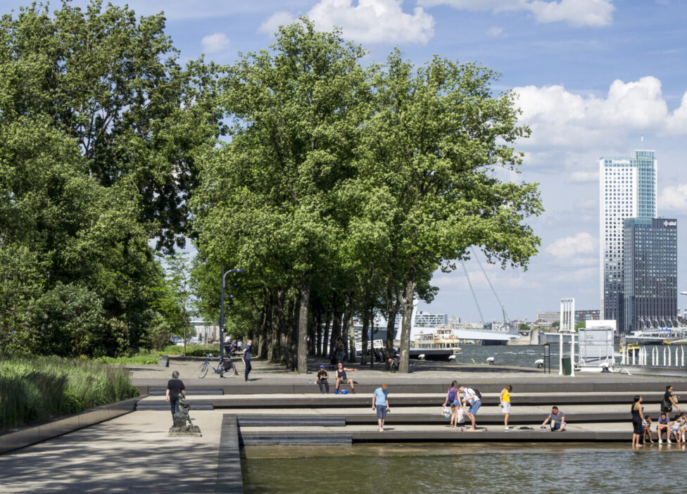 Named 2025 Landscape and Urban Design Firm of the Year