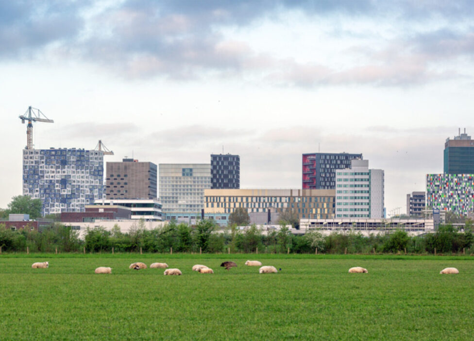 Landscape design vision for Utrecht Science Park!